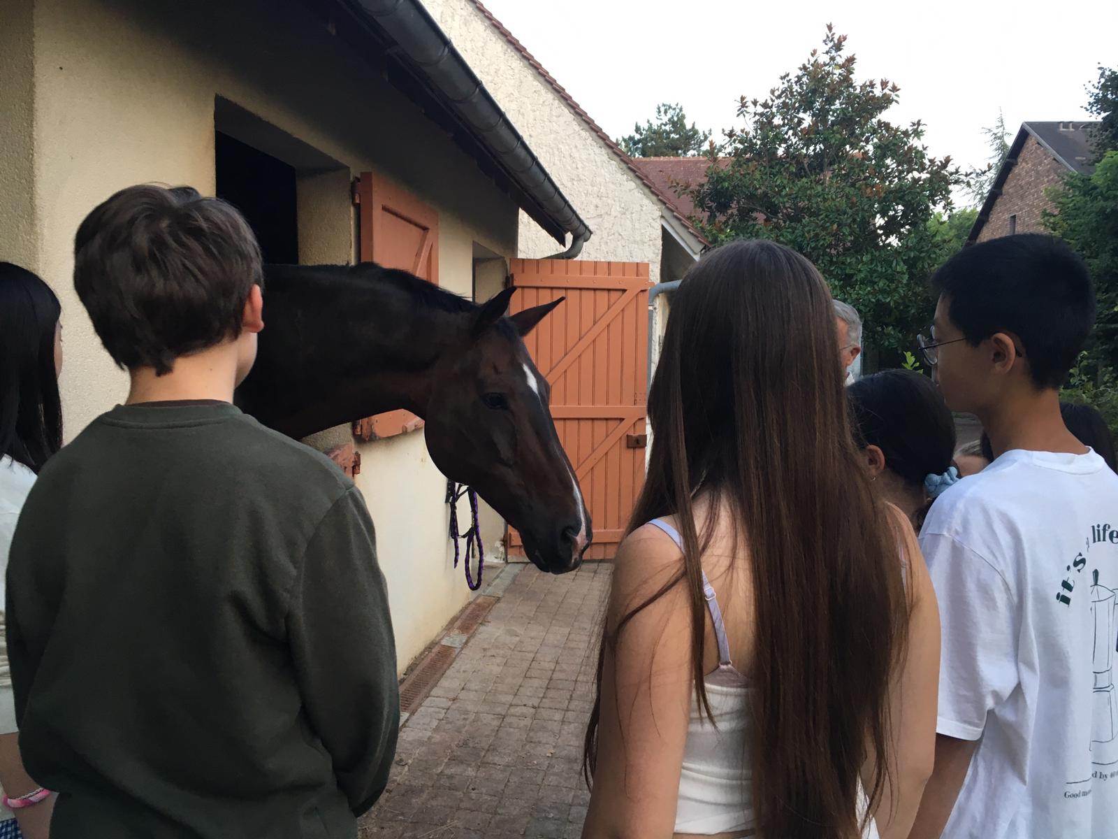 WhatsApp Image 2025-08-23 à 20.56.31_fb0966fb.jpg